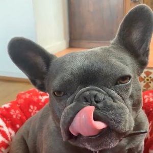 Meet your Posher, Chad